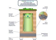 Гринлос Аэро Лайт 6 Пр